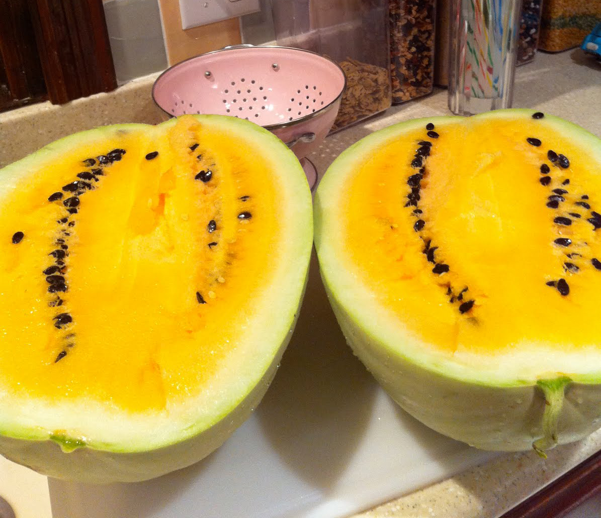 Missouri Heirloom Yellow Flesh Watermelon