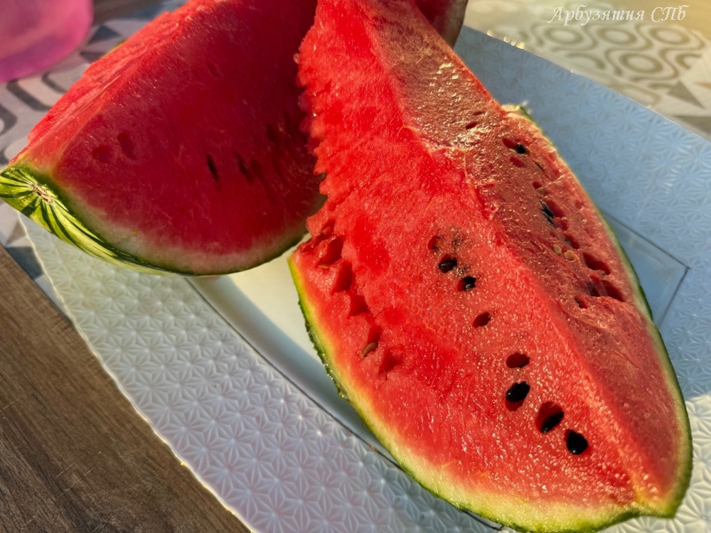 Новинка! Tanuki (Тануки)